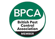 BPCA
